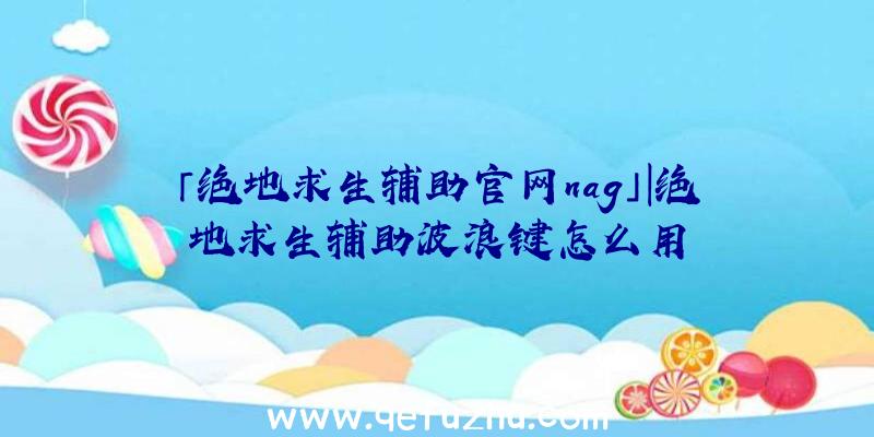 「绝地求生辅助官网nag」|绝地求生辅助波浪键怎么用